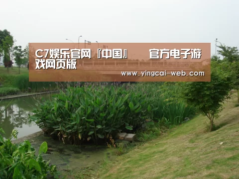 案例展示四(图1)