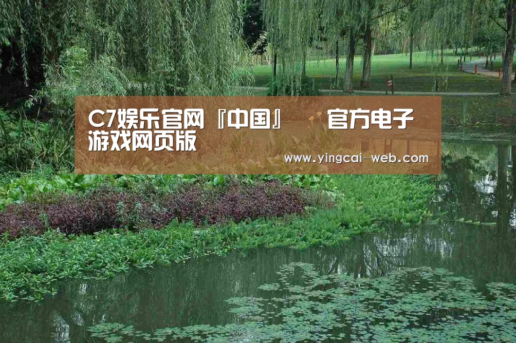 案例展示一(图1)
