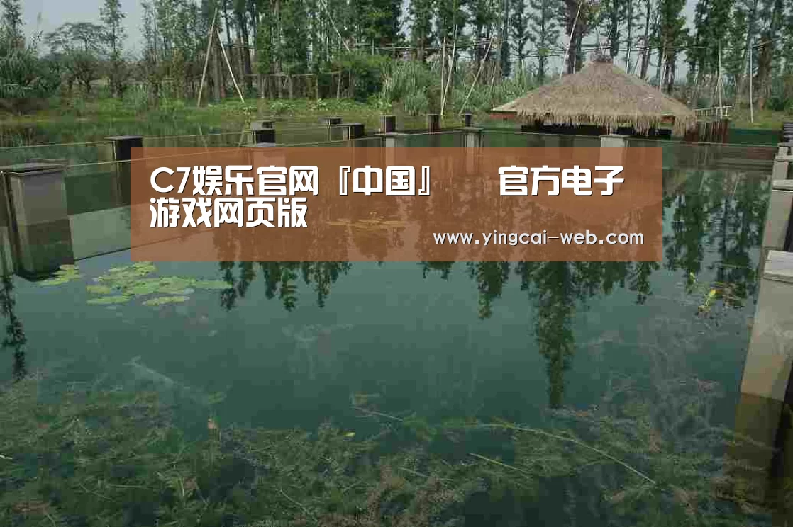案例展示二(图1)