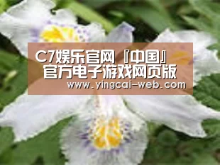 产品名称二
