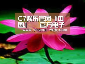 产品名称五