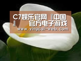 产品名称七