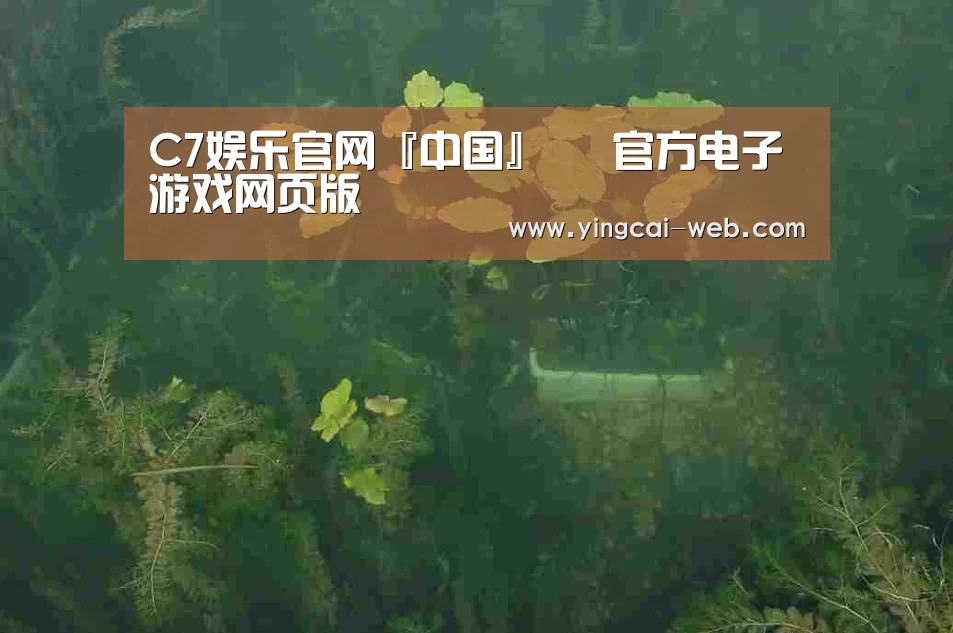 案例展示三