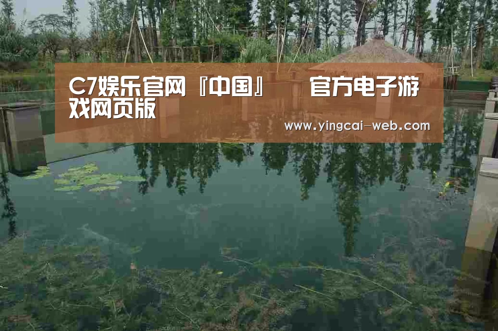 案例展示二