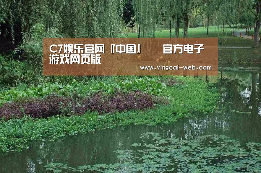 案例展示一