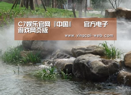 案例展示五
