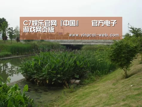案例展示四