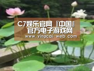 产品名称一