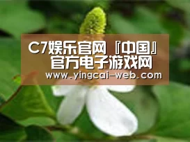 产品名称三