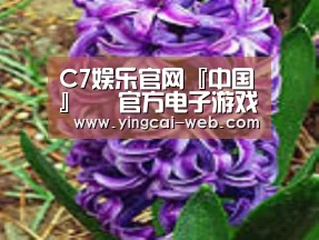产品名称八