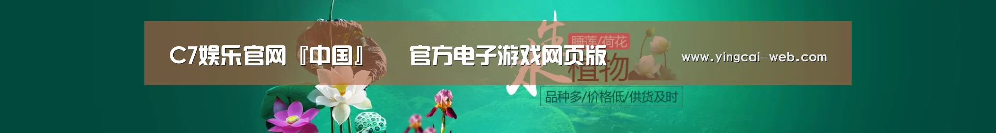 鲜花水草花卉网站模板