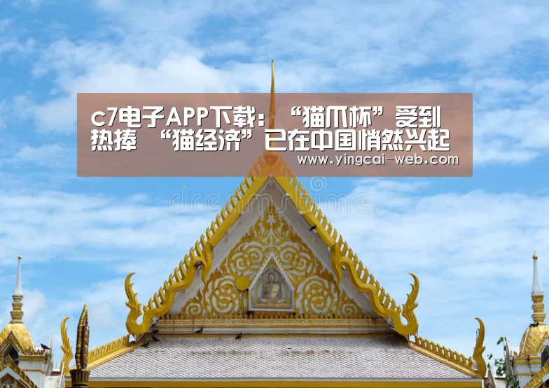 c7电子APP下载:“猫爪杯”受到热捧 “猫经济”已在中国悄然兴起?(图1) c7电子官网