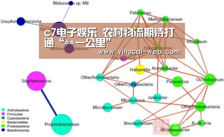 c7电子娱乐_农村物流期待打通“**一公里”(图1) c7电子游戏平台