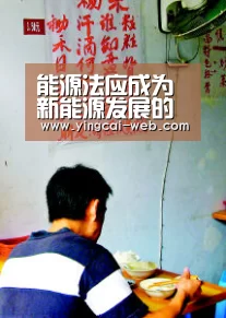 能源法应成为新能源发展的激励法:c7电子官网(图2) c7电子官网