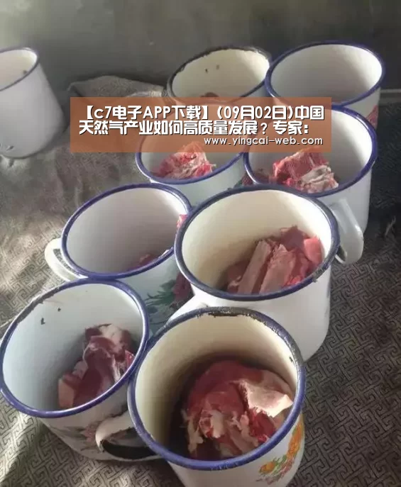 【c7电子APP下载】(09月02日)中国天然气产业如何高质量发展?专家:上中下游齐发力(图2) c7电子APP下载