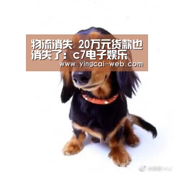 物流消失 20万元货款也消失了:c7电子娱乐(图2) c7电子游戏平台
