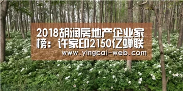 c7电子娱乐