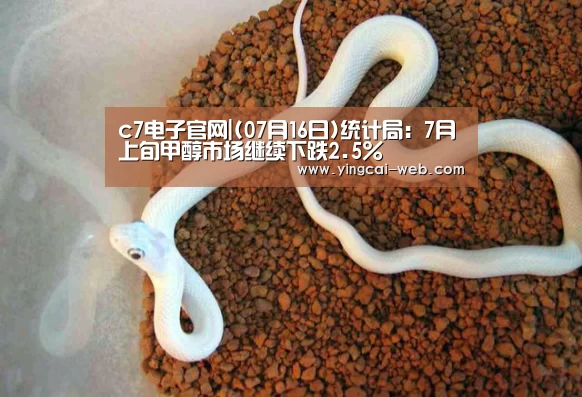 c7电子官网
