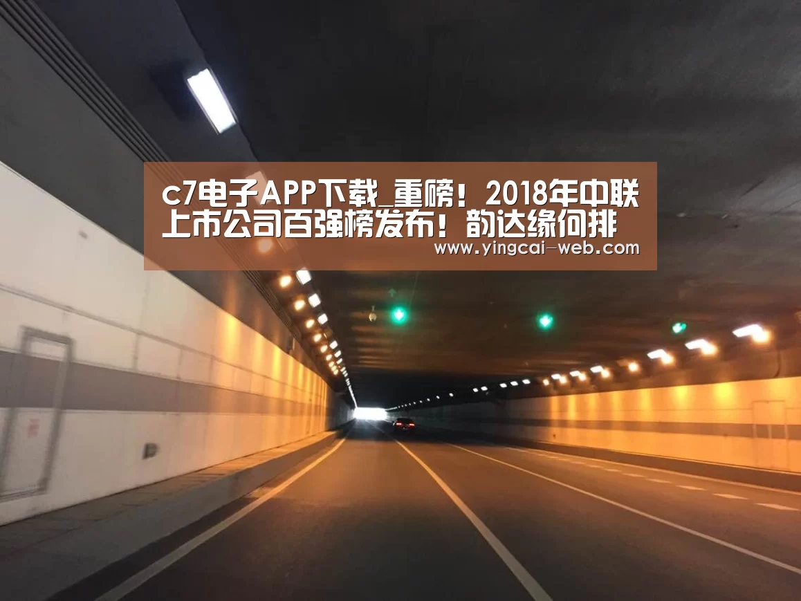 c7电子APP下载_重磅!2018年中联上市公司百强榜发布!韵达缘何排进前三?(附完整榜单)...(图2) c7电子官网